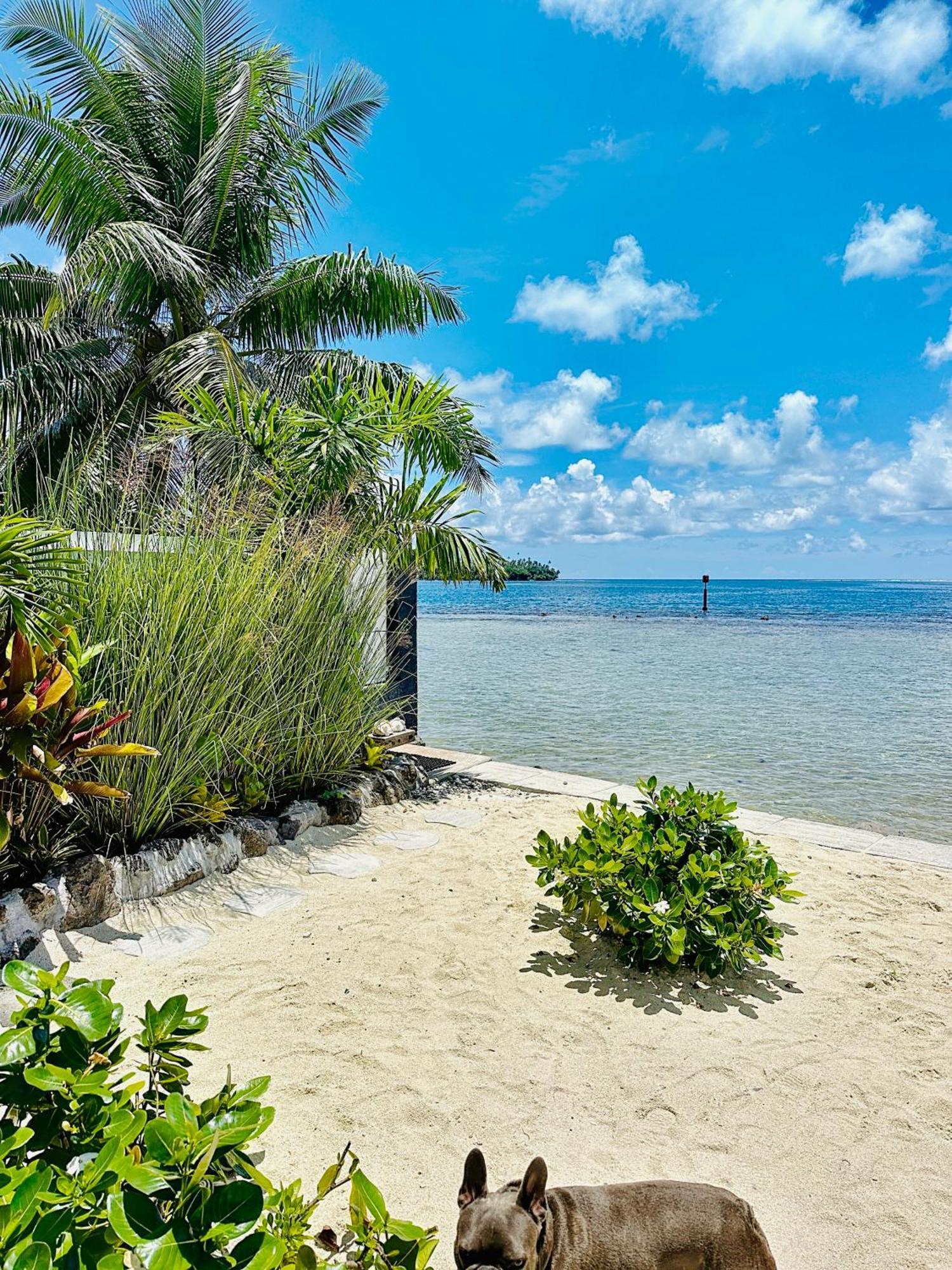 Pension Irivai, Appartement Uo Uo 3 Chambres Vue Mer อุตูโรอา ภายนอก รูปภาพ