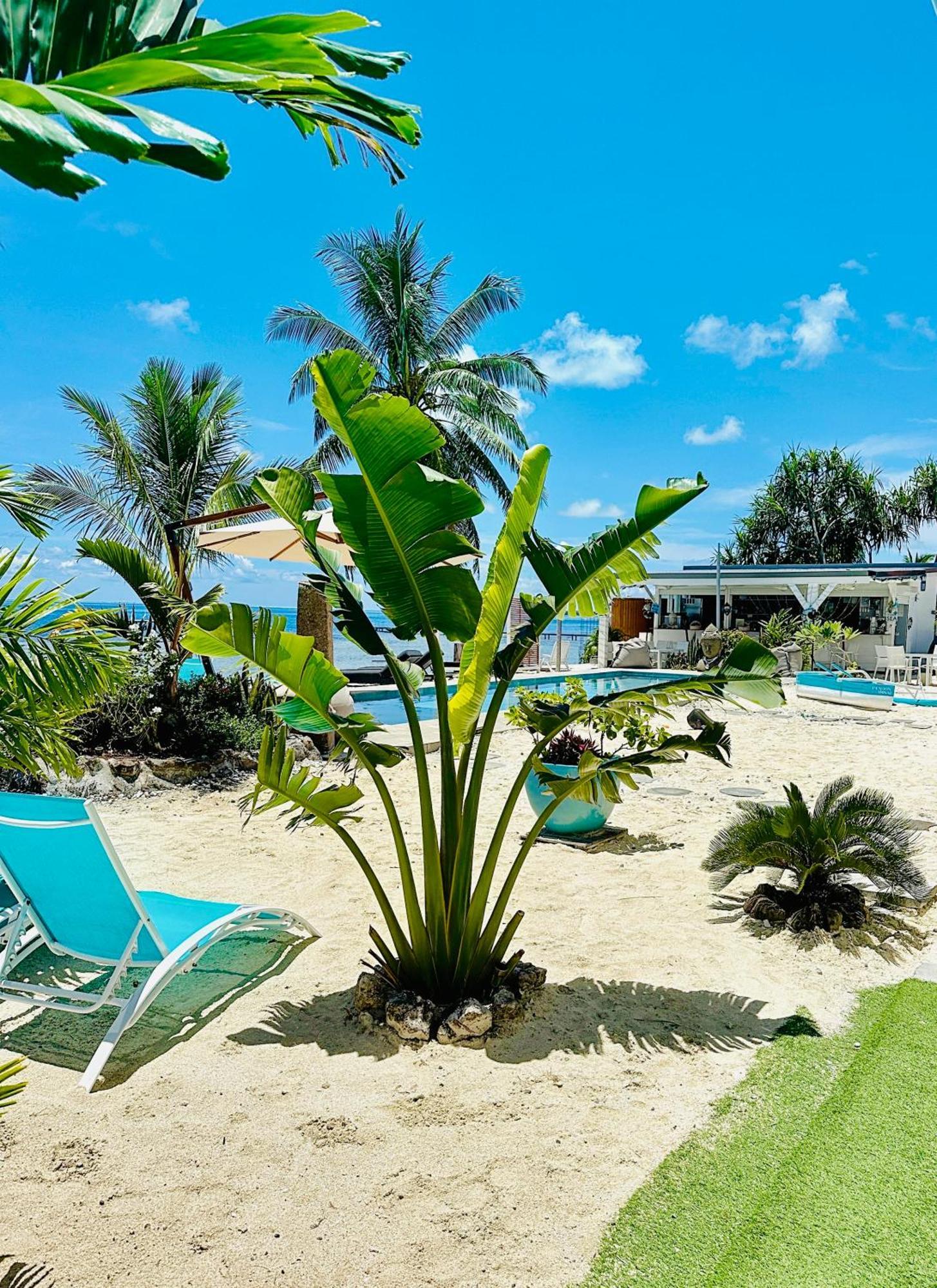 Pension Irivai, Appartement Uo Uo 3 Chambres Vue Mer อุตูโรอา ภายนอก รูปภาพ
